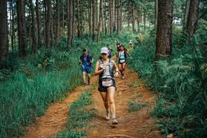 BIB: 
                            <button type="button" onclick="openModal(25739462)" class="btn btn-primary btn-sm float-right btn-popup" data-toggle="modal" data-target=".modal-high-quality">
                        <i class="fas fa-shopping-cart"></i> Add to Cart
                    </button>
                                            <button type="button" onclick="isThisMe(25739462, true)" class="btn btn-success btn-sm float-right btn-popup btn-isme hidden" data-toggle="tooltip" data-placement="bottom" title="นี่คือรูปของคุณใช่ไหม คลิกที่นี่เพื่อเอาเข้าอัลบั้ม">
                        <i class="fas fa-plus"></i> Add to album
                    </button>
                    <button type="button" onclick="isThisMe(25739462, false)" class="btn btn-warning btn-sm float-right btn-popup btn-isnotme hidden">
                        <i class="fas fa-ban"></i> Remove from album
                    </button>